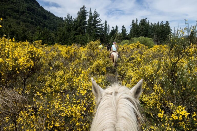 Horseback Riding Vacation Packages